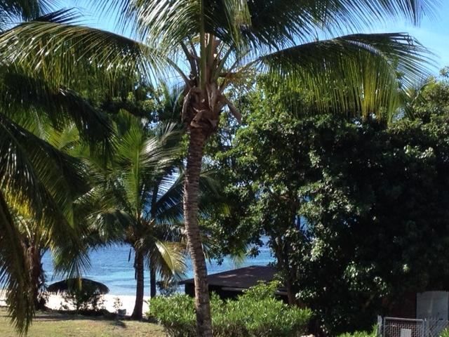 Iguana Studio Vue Mer Avec Cuve Saint-Francois (Grande-Terre) Exterior foto